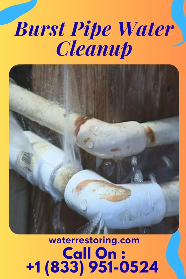 Burst Pipe Water Cleanup in Watervliet, MI