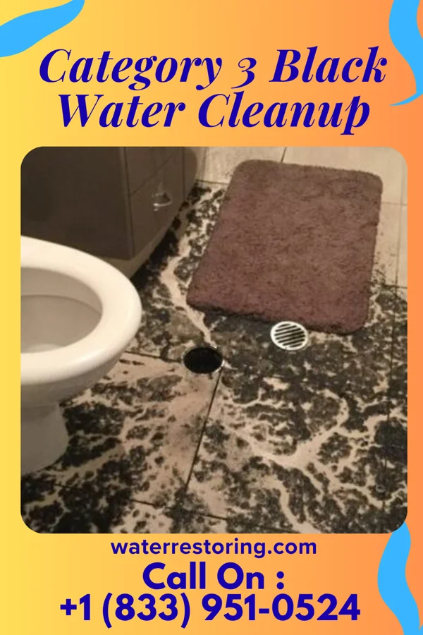 Category 3 Black Water Cleanup in Watervliet, MI