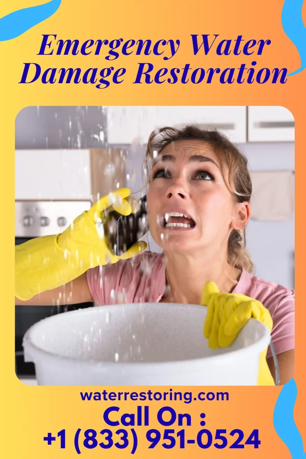 Emergency Water Damage Restoration in Watervliet, MI