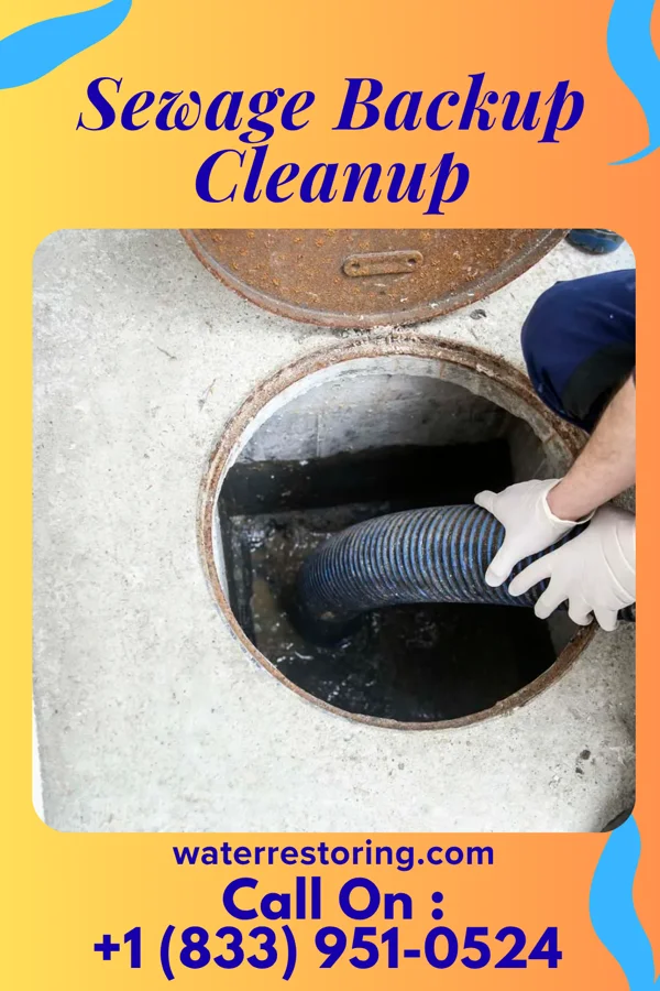 Sewage Backup Cleanup in Watervliet, MI