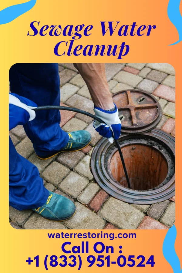 Sewage Water Cleanup in Watervliet, MI