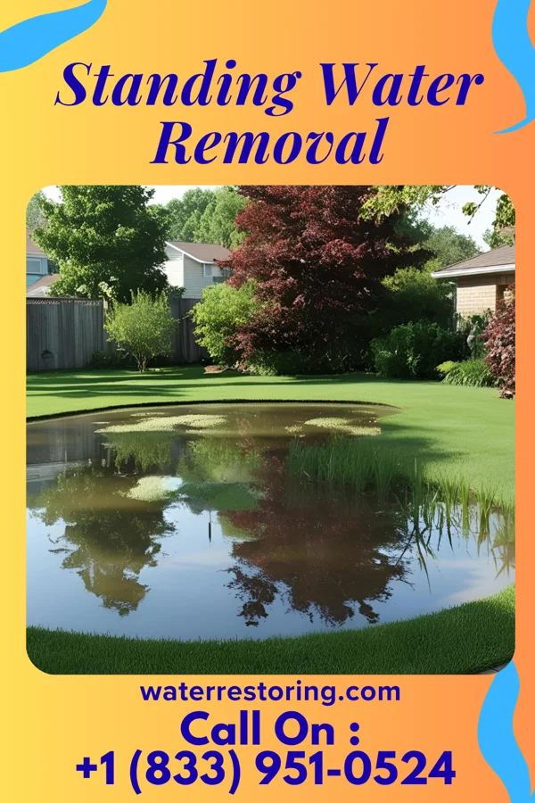 Standing Water Removal in Watervliet, MI
